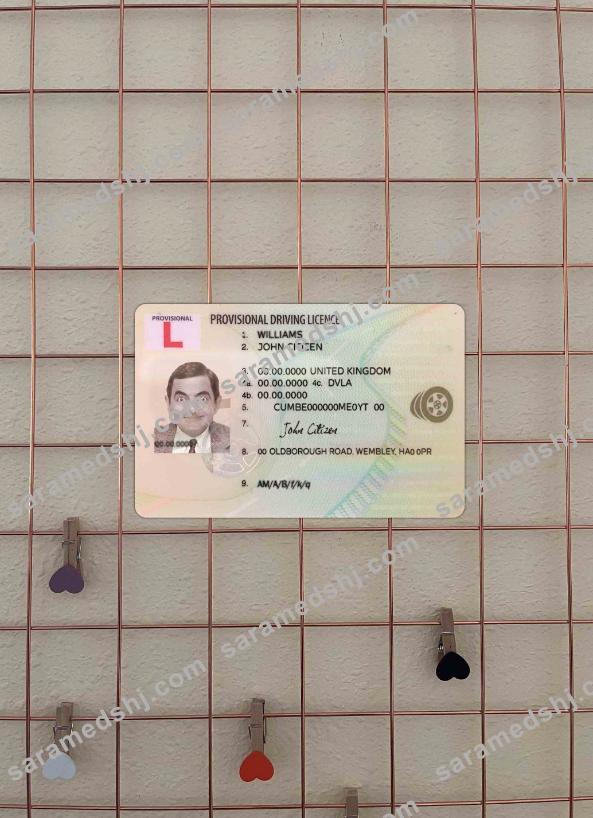 United Kingdom provisional driving license photolook FRONT